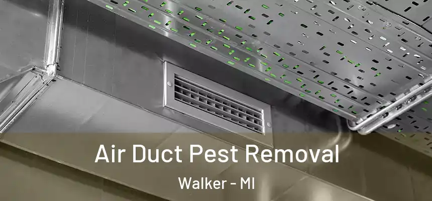 Air Duct Pest Removal Walker - MI