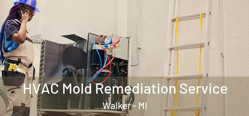 HVAC Mold Remediation Service Walker - MI