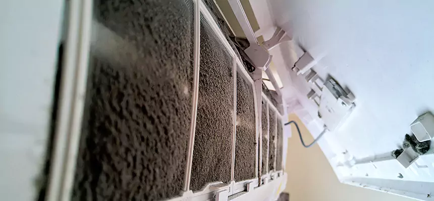 Preventive Air Duct Bacteria Removal in Walker