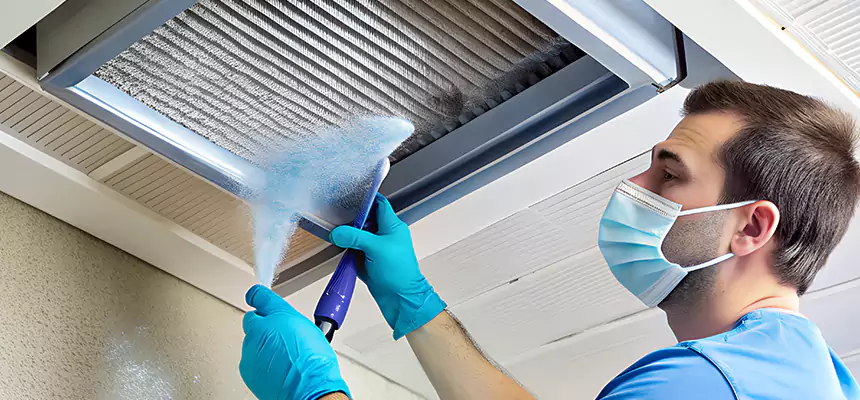 Proactive Dryer Vent & Auxiliary Duct Pollen Cleanup in Walker, MI