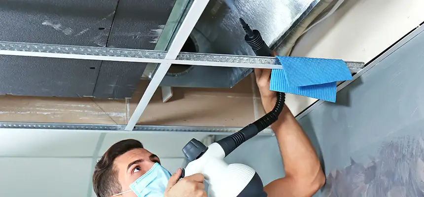 Our Air Duct Rodent Removal Services in Walker, MI