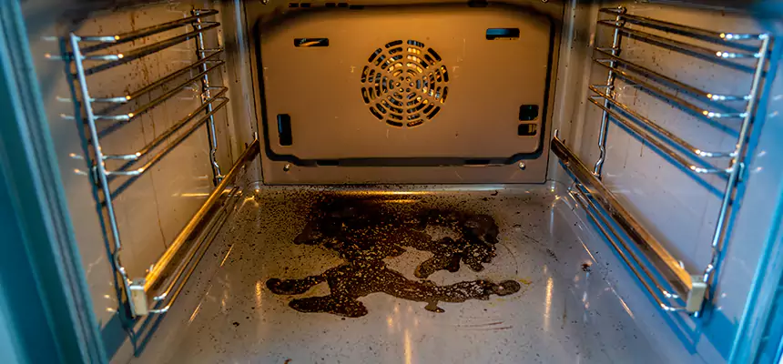 Our Dryer Vent Mold Cleaning Services in Walker, MI