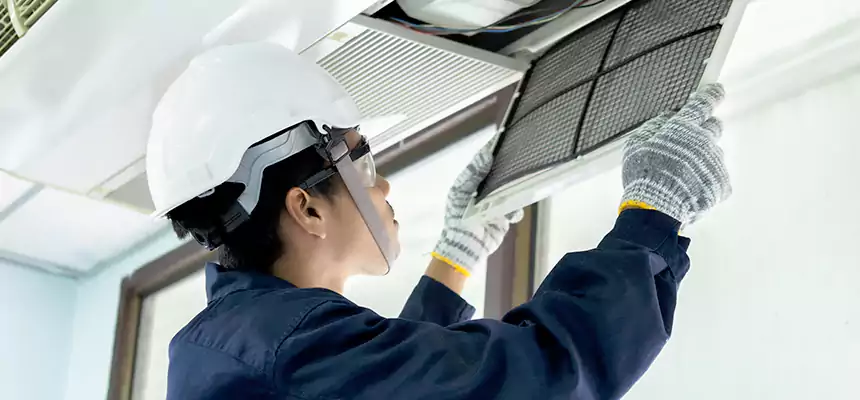 Our Mold & Mildew Removal from Air Ducts Services in Walker, MI