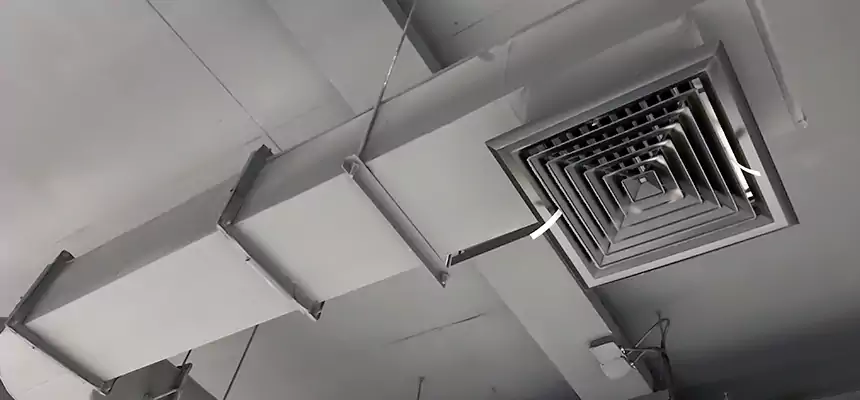 Our Pest Removal From Ducts Services in Walker, MI