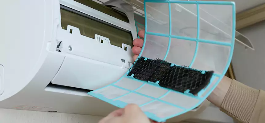 Gentle Ductwork Odor-Control Pet Dander Duct Cleaning in Walker, MI