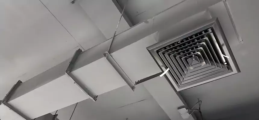 Our Rodent Droppings In Vents Services in Walker, MI