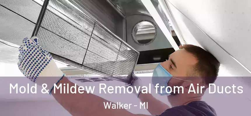 Mold & Mildew Removal from Air Ducts Walker - MI