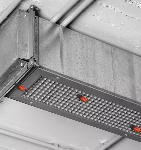 About Air Duct Cockroach Removal in Walker, MI