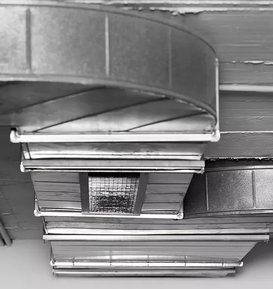 Professional Air Duct Pet Hair Removal in Walker, MI