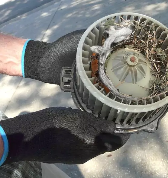 About Air Duct Rat Removal in Walker, MI