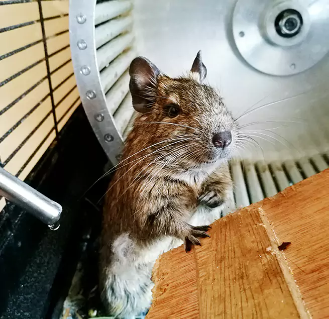 Why Homeowners & Businesses Trust Us Walker, MI?