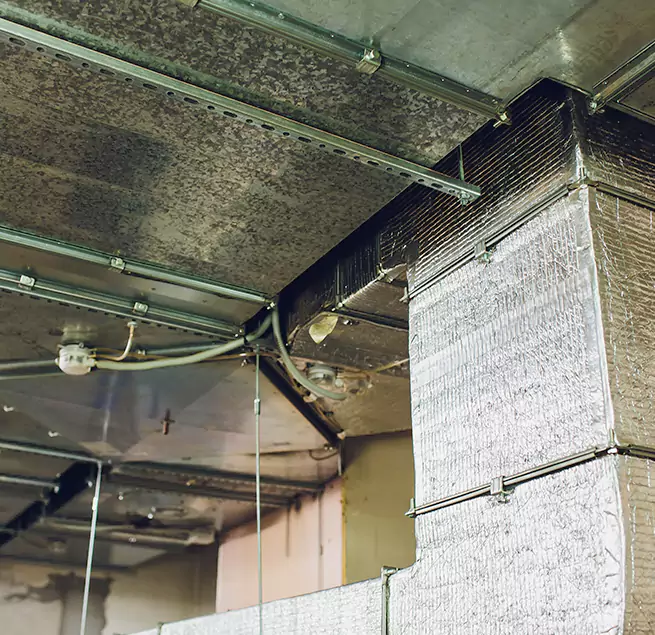 Why Homeowners & Businesses Trust Us in Walker, MI?