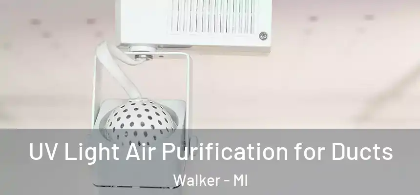 UV Light Air Purification for Ducts Walker - MI